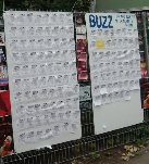 Buzz of the 
Beer Tent