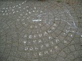 chalking on
path for Incident with a Dolphin