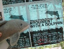 dolphin looks at poster