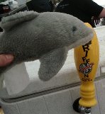 dolphin at beer tap