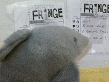dolphin looks at buzz