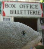 dolphin at Box Office