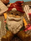 garden gnome
at venue 1